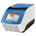 PCR
