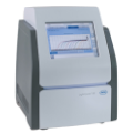 REALTIME PCR (RT-PCR)